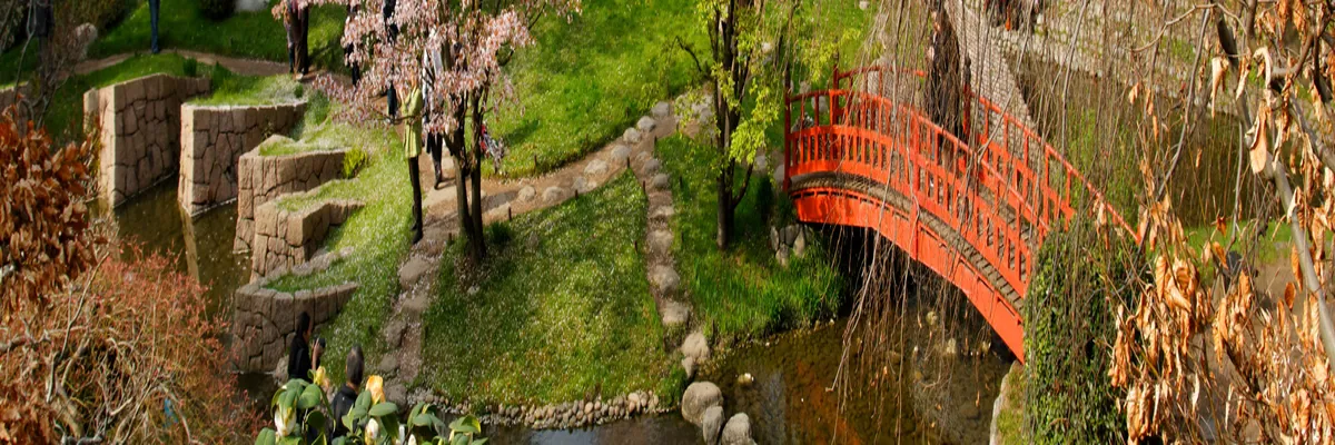 Image Entreprise monte escalier Boulogne-Billancourt